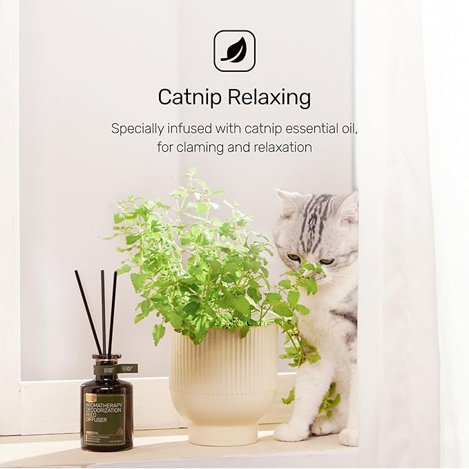 Reed Diffuser for Pet Odor Elimination, Lavender Cedar, Non-Toxic & Pet-Friendly Air Freshening, 6 Oz