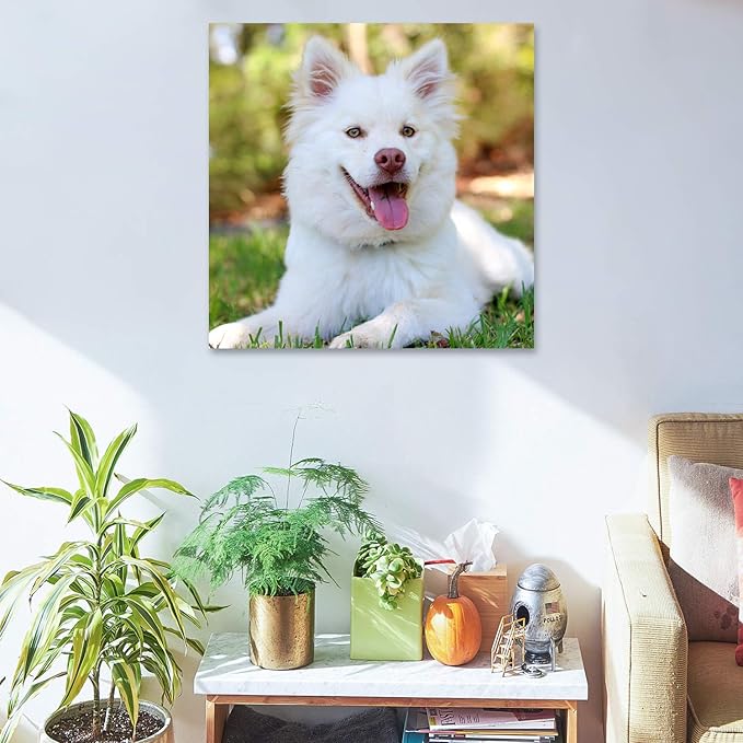 Personalized Photo to Canvas Print - Canvas Prints With Your Photos on Custom Wall Art for Bedroom, Living Room, Wedding Baby Pet Family Picture Framed Wall Art (16" W x 16" H)