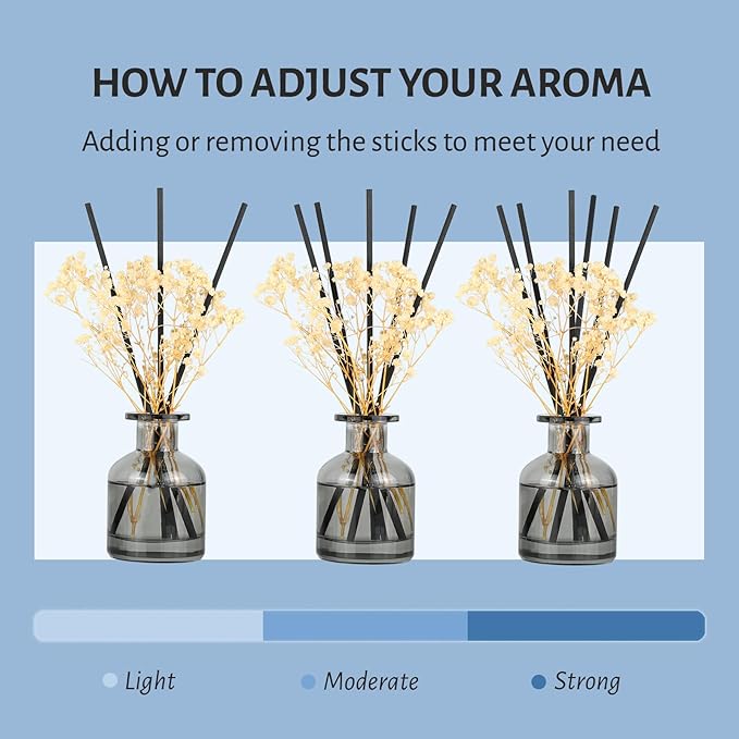 Brakula 2 Pack Reed Diffuser, Oil Diffuser Sticks, Lavender Eucalyptus + Lavender Vanilla(3.38 fl oz Each Pack), Home Fragrance with 12 Sticks, Shelf Decor, Reed diffusers for Home