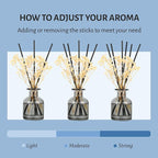 Brakula 2 Pack Reed Diffuser, White Jasmine + Bamboo (3.38 fl oz Each Pack), Home Fragrance with 12 Sticks, Shelf Decor, Reed diffusers for Home