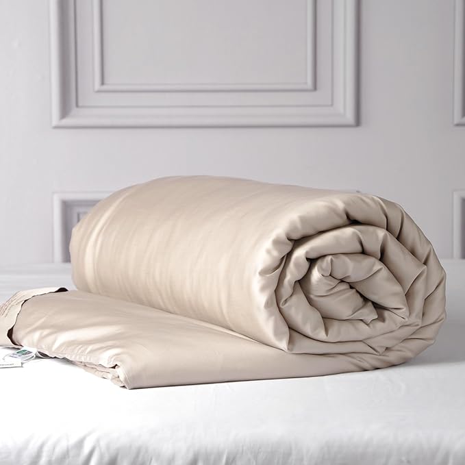 CUDDLE DREAMS Silk Filled Comforter for All Season, Detachable Tencel Duvet Cover for Easy Care, Naturally Breathable (Light Pewter, Twin)