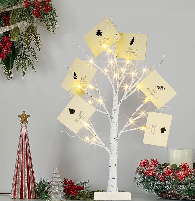PABIPABI Money Tree Gift Holder, 24 LED Lighted Display Tree with 6 Clear Clips, Battery/USB Powered Timer Birch Tree for Christmas, Memo, Present Card, Photo, Wedding, Birthday Graduation