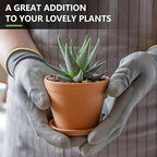 2.5lbs Small Rocks for Terrarium, Planters Drainage, 1/5 Inch Lava Rock for Bonsai Tree, Decorative Gravel for Succulents, Bamboo, Cactus, Mixed Color