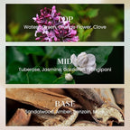 M&SENSE 6.3 oz Large Reed Diffuser Set | Gardenia Scent Oil Diffuser with Sticks | Hotel Collection Non-Toxic Essential Oil |for Bedroom Bathroom Living Room