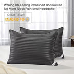 Basic Beyond Bed Pillows for Sleeping - Standard Size Pillows Set of 2 - Luxury Hotel Collection Down Alternative Pillows, Black, 20x26 Inches