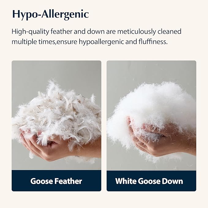 Pacific Coast Bed Pillow, Hotel Collection Goose Feather and Down Pillow for Sleeping, 3-Chamber Design, Medium Supportive, Standard Size