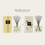 NEST New York Reed Diffuser, Sunlit Yuzu & Neroli - 5.9 fl oz - Fragrance for Up to 90 Days - Reusable, Refillable Glass Holder - Includes 8 All-Natural Reed Sticks - Flame Free