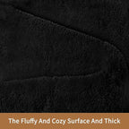 Sour Lemon 10x14 Area Rugs for Living Room, Soft Large Area Rug Fluffy Rugs for Bedroom，Machine Washable Area Rug Non Slip Carpet Rug for Living Room Playroom Kids Room Home Decor