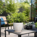 6.9 Inch Ceramic Plant Pot for Indoor Plants Outdoor Round Planter Flower Pot with Drainage Hole and Saucer for Home Garden Office Decor White