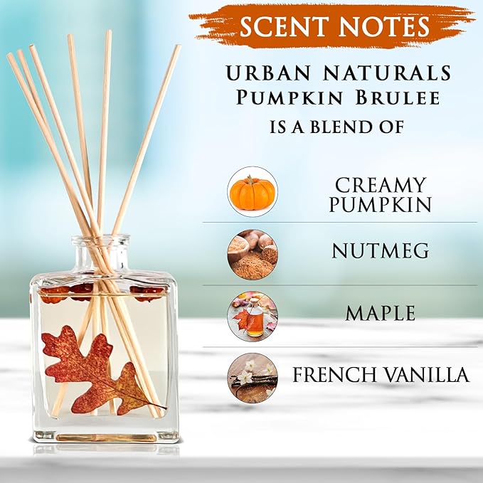 Urban Naturals Pumpkin Brulee Scented Sticks Reed Diffuser Oil Set – Fall Pumpkin Pie, Nutmeg & French Vanilla – Sleek Rectangular Refillable Glass Bottle – Made in The USA