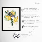 Cottagecore Decor Framed Wall Art Set, Set of 10 Aesthetic Framed Prints for Cottage Core Home Decor, Black Framed Vintage Fruits and Vegetables Pictures