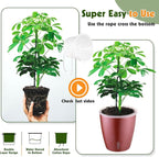 Self Watering Pots for Indoor Plants, 4-Pack 6.7'' Self Watering Planter with Drainage Holes, Small African Violet Pots with Water Indicator, Clear Wick Orchid Pot, Rose Gold