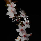 Antica Farmacista Home Ambiance Diffuser, Sakura, 16.9 fl oz