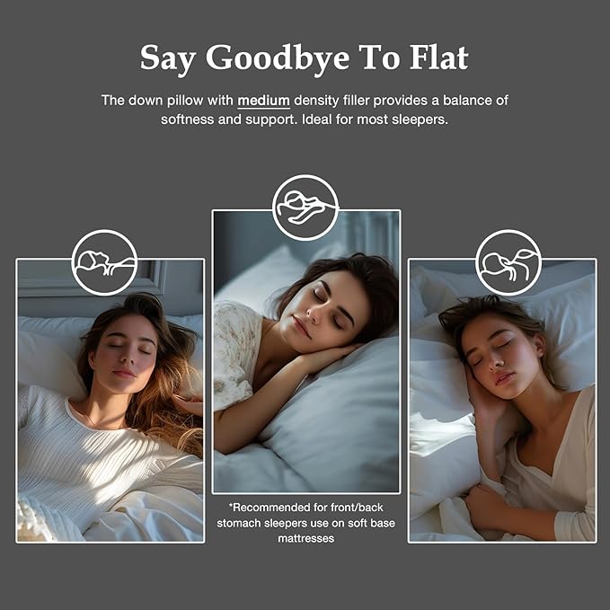 DWR Luxury Goose Feather Down Core Pillows Surrounded by Polyester - Set of 2 - Standard Size(20"x26") - Medium Firm - 100% Organic Cotton Cover