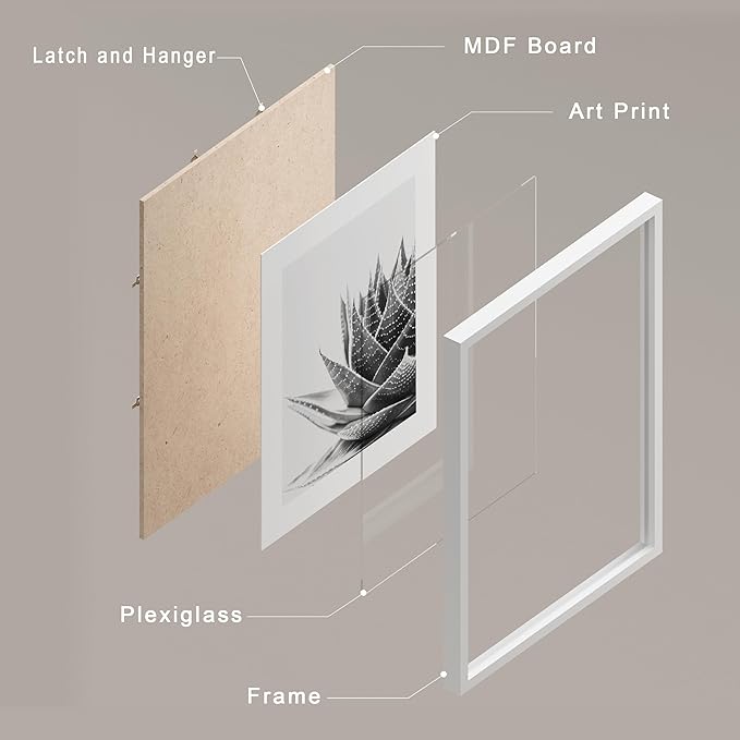 SIGNWIN Framed Black White Snake Plant Agave Cactus Succulent Wall Art, Set of 4 Floral Botanical Wall Decor Prints, Nature Wilderness Wall Décor for Living Room, Bedroom - 12"x16" White