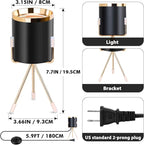 Spot Lights Indoor Floor Lamp, 6W Uplighting Indoor, Floor Can Lights for Plants Pictures Corner Ambient Lighting, 1 Pack