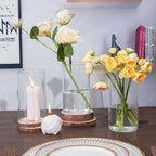 12pcs Glass Cylinder Vases for Centerpieces, 6 Inch Clear Flower Vases for Wedding Decorations and Indoor Home Decor, Hurricane Candle Holder for Table Shelf, Party