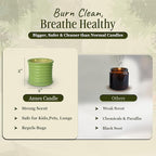 Scented Luxury Candles Outdoor Mosquito Bug Repellent Ceramic Jars, Soy Wax | The Green Life, Large Natural Candle - Green Melon & Peppermint | Non Toxic, 2 Wicks, Reusable Jar