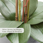 CG Hunter Faux White Orchid Plant, Premium Artificial Indoor Flower Display Stands 25-Inches with Beautiful Sculptural Blooms and Foliage That Lasts Forever, Grey Planter Pot Included