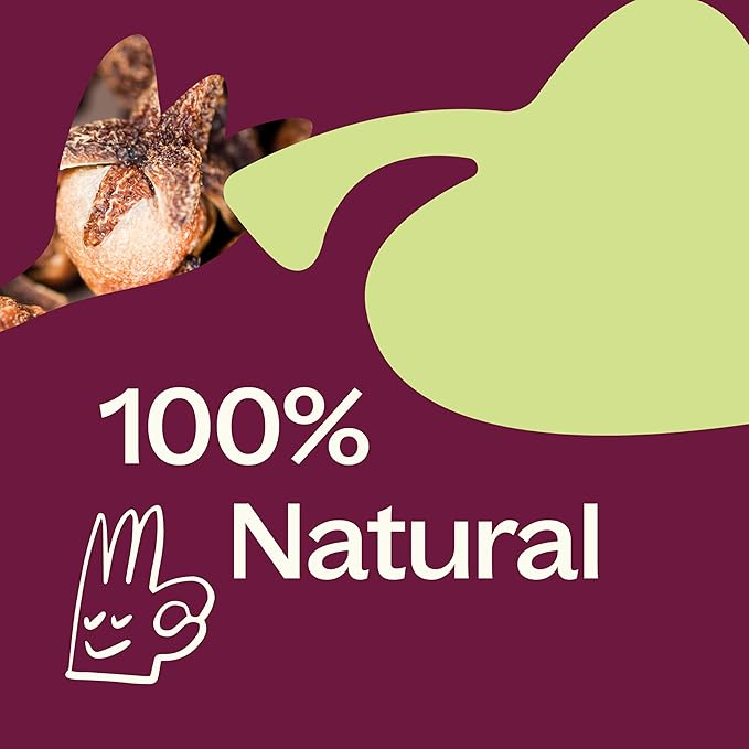 Plant Therapy Clove & Pear Fall Linen Spray 8 oz A Fun, Feel-Good Scent with Fall Flair, Adds Cozy Charm & Cheerful Vibes, Perfect for Spritzing Linens, Curtains, and Cozy Corners