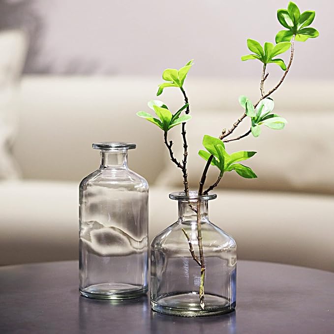 WDHODEC Glass Bud Vases Set of 4, Small Clear Vases for Flowers, Mini Glass Vase Assorted for Rustic Wedding, Floral Arrangements, Home Table Decorations