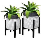 Planter with Stand Set of 2, Mid Century Plant Pots with Metal Legs Indoor, Modern Flower Pots with Drainage Holes, Decorative Garden Pot for Living Room, Office, Garden, or Balcony 10 & 12 inches