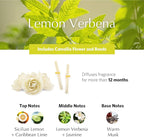 AGRARIA AirEssence Flower and Reed Diffuser Set, Handmade Sola Flower Botanical Home Fragrance Set, Scented Oil Reed Diffuser Gift for All Occasions