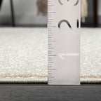 Abani Nuevo Collection Area Rug - Transitional Beige/Cream Design -2' x 3' - Easy to Clean - Durable for Kids and Pets - Non-Shedding - Medium Pile - Soft Feel - for Living Room, Bedroom & Office