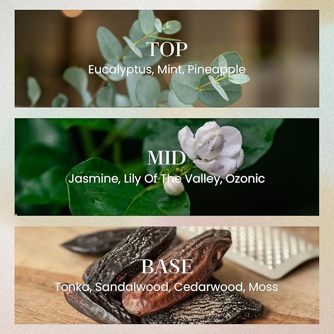 M&SENSE 6.3 oz Large Reed Diffuser Set | Eucalyptus Mint Scent Oil Diffuser with Sticks | Hotel Collection Non-Toxic Essential Oil |for Bedroom Bathroom Living Room