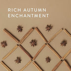 Thymes Simmered Cider Fragrance Mist - Scented Room Spray for Home Fragrance - Notes of Apple & Cardamom - Bedroom & Bathroom Air Freshener - Simmered Cider - 3 oz