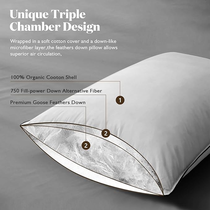 BPC Luxury Feather Down Pillow Queen Size Set of 2 - Medium-Firm Feather Pillow, 3-Chamber Bed Pillow Inserts with Organic Cotton Cover, Surrounded by Polyester, 20x30 Inches