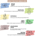 Folkulture Incense Sticks for Home | Set of 6 Variety Pack (120 Non Toxic Insence) | 45 Mins Burn Time | Balsam Cedarwood, Organic Insence-Sticks | Slow Burning Inscents-Stick for Relaxation