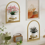 Wall Plant Holder, Wall Planter for Indoor Plants, Window Plant shelves for Multiple Plants Indoor Outdoor, Framed Plant Holder for Home Decor (2 Pack)