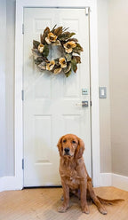 Admired By Nature 24" Magnolia Pine for Home Office Front Door Wreath, Wall Hanging Arrangement Decoration