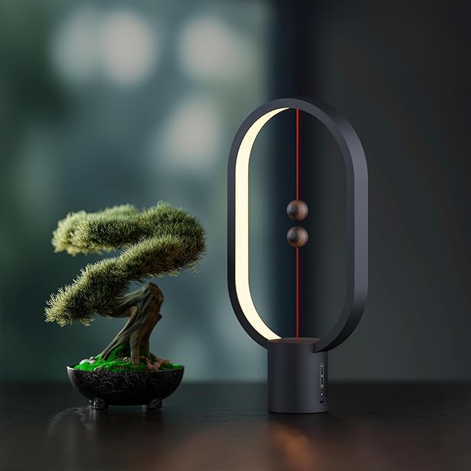 Table Lamp for Bedroom - Balance Lamp,Bedside Lamp with Touch Dimmer,Nightstand Lamp,3 Level Brightness Rechargered Night Light for Home,Office,College Dorm (Black)