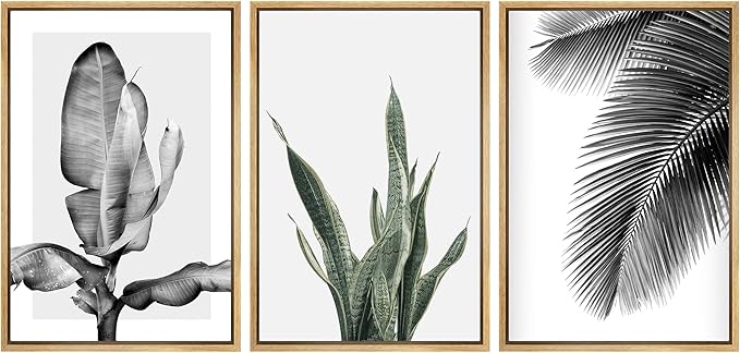 SIGNWIN Framed Canvas Print Wall Art Trio of Jungle Palms & Snake Succulents Floral Plants Photography Modern Art Minimalist Black and White for Living Room, Bedroom, Office - 16"x24"x3 Natural