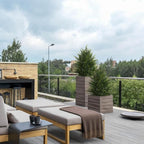 Artificial Topiary Ball Tree, Indoor Realistic Faux Boxwood Bush Potted Plants, Outdoor Fake Shrubs Cedar Evergreen Plants for Home Living Room Front Porch Decor (2, 2ft)