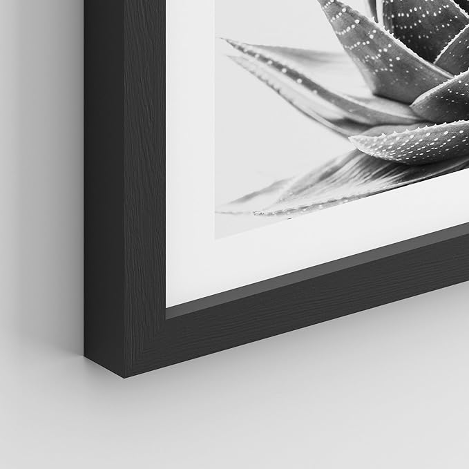SIGNWIN Framed Black White Snake Plant Agave Cactus Succulent Wall Art, Set of 4 Floral Botanical Wall Decor Prints, Nature Wilderness Wall Décor for Living Room, Bedroom - 12"x16" Black