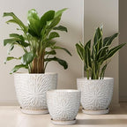 G EPGardening 8 Inch Ceramic Plant Pot with Drainage Hole and Saucer Round Planter Pot for Indoor Outdoor Plants Modern Large Flower Pot White