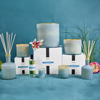 LAFCO New York Classic Candle, Sea & Dune - 6.5 oz - 50-Hour Burn Time - Reusable, Hand Blown Glass Vessel - Made in The USA