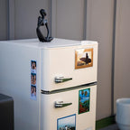 Magtech Magnetic Photo Pocket Picture Frame, Color Pops, Holds 4x6 Inch Photos, 10 Pack Assorted Colors, Made in the USA (94610)