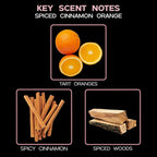 LOVSPA Reed Diffuser Set, Spiced Cinnamon Orange Scented Oil Diffuser with Sticks, Home Fragrance Accessories for Bathroom Shelf Decor, Aroma Diffusers for Home or Office Desk, USA Made