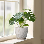 8 Inch Ceramic Pots for Plants Large Planter Pot with Drainage Hole and Saucer Round Flower Pot for Indoor Outdoor Decor, White