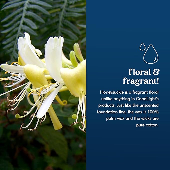 Paraffin-Free Scented Candle, Tin Candles, Birthday Gifts for Women & Men, 30-Hour Burn Time (Honeysuckle, 6 oz)