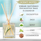 Urban Naturals Eucalyptus Sage Reed Diffuser Oil Gift Set – Eucalyptus, Sage, Mint, Lime & Cedarwood Essential Oils– Relaxing Scent – Sleek Rectangular Refillable Glass Bottle – Made in The USA