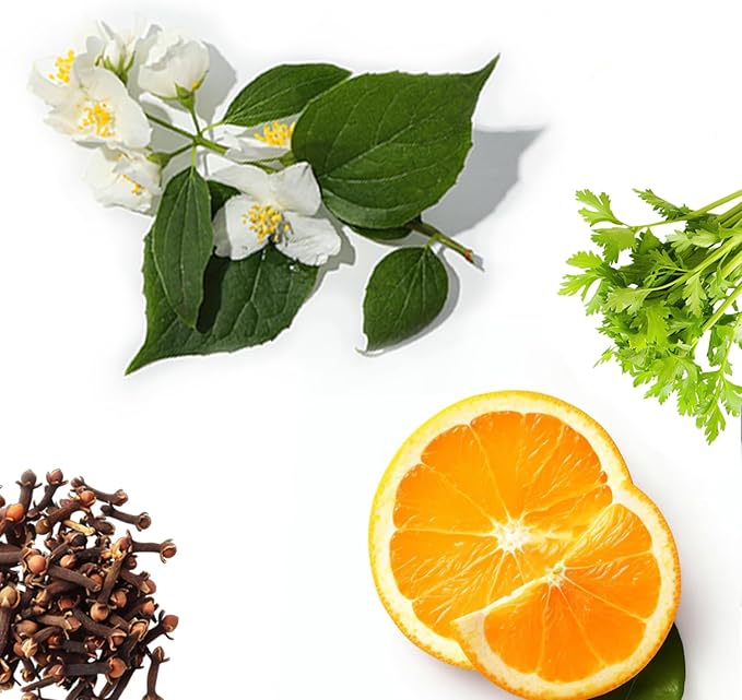 AromaPlan Hotel Scent Diffuser Oil Dark Tea 5 Fl Oz (148ml) –Luxury Hotel & Home Fragrance Oil - Non Toxic - Made in USA - Bigger Bottle, Bolder Aroma & Longer Lasting