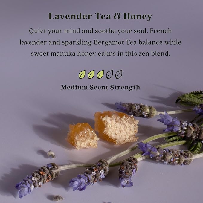 Enviroscent Non-Toxic Air Freshener for Home (Lavender Tea & Honey) Essential Oil Diffuser | Air Freshener & Room Freshener | Home Fragrance Last Over 30 Days | 8 Scent Stix Refills