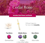 AGRARIA PetiteEssence Flower and Reed Diffuser Set, Hand Crafted Sola Flower Botanical Home Fragrance, Scented Oil Gift Set for All Occasions