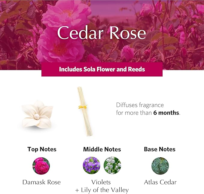 AGRARIA PetiteEssence Flower and Reed Diffuser Set, Hand Crafted Sola Flower Botanical Home Fragrance, Scented Oil Gift Set for All Occasions