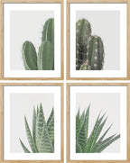 SIGNWIN Framed Green Cactus Snake Plant Wall Art, Set of 4 Collage Desert Landscape Wall Decor Prints, Nature Wilderness Wall Décor for Living Room, Bedroom - 12"x16" Natural